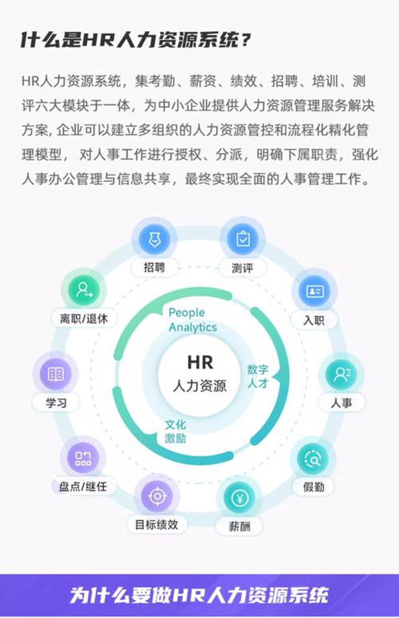 HR软件定制